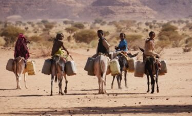 The Things to do in South Sudan are many but endless civil wars have denied the world an opportunity to see what the country has to offer in terms of biodiversity and culture.