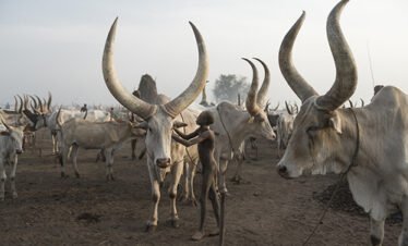 Best-things-to-do-in-South-Sudan
