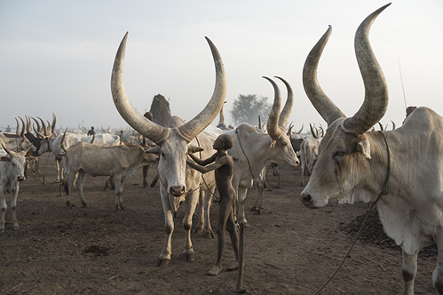 Best-things-to-do-in-South-Sudan