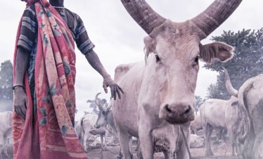 4 Days Tour in South Sudan-Mundari, Cattle Camp Tour