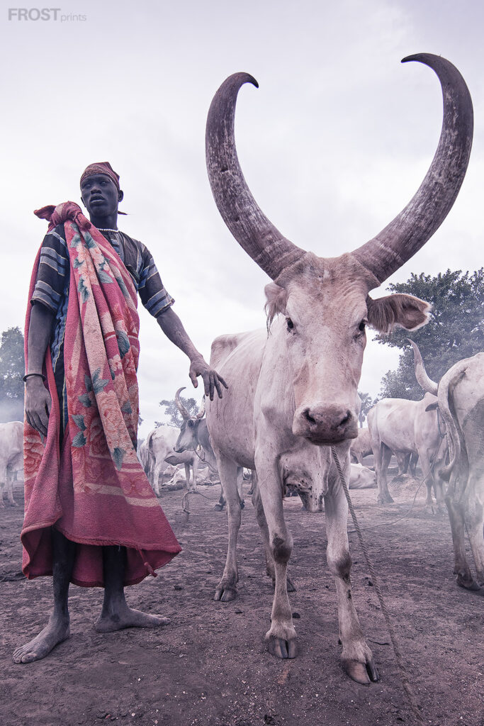 4 Days Tour in South Sudan-Mundari, Cattle Camp Tour