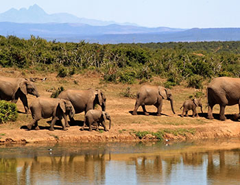 Boma National Park