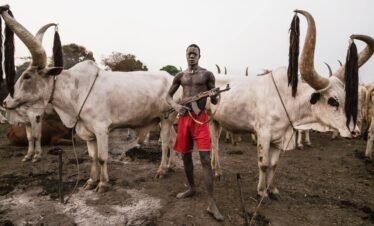 4 days Tour in South Sudan r in Mundari, Cattle Camp Tour.