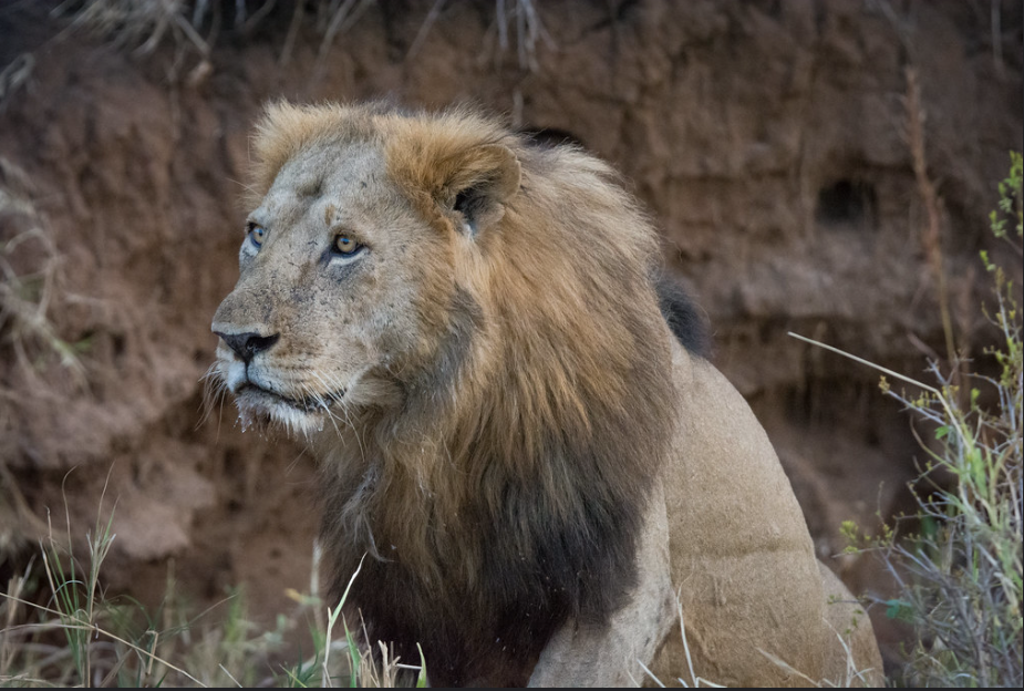 2 Day Tour in South Sudan-Shambe National Park