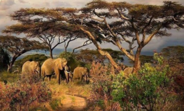 2 Day Tour in South Sudan-Shambe National Park