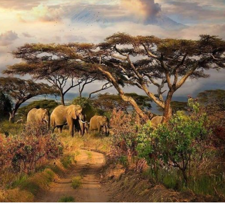 2 Day Tour in South Sudan-Shambe National Park