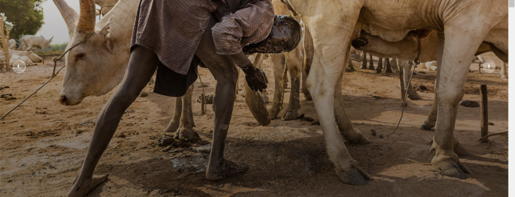 15 Days best Tour in South Sudan- Mundari Cattle Camp , Toposa, Jiye, Larim, Lokoto