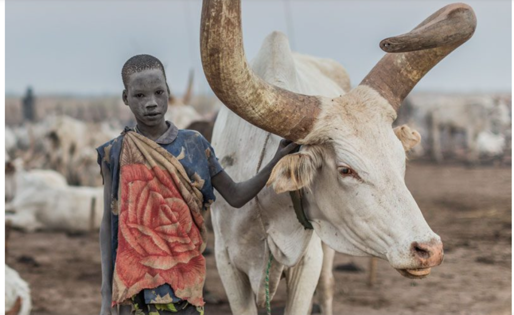 15 Days best Tour in South Sudan- Mundari Cattle Camp , Toposa, Jiye, Larim, Lokotour.