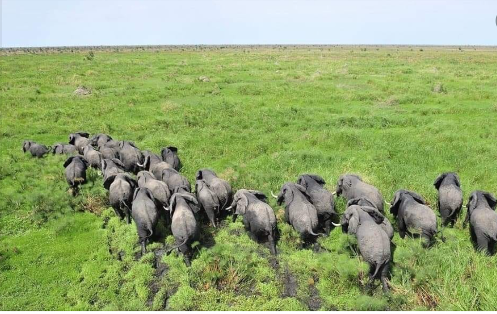 2 Day Tour in South Sudan-Shambe National Park