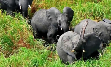 2 Days in south Sudan -Shambe Nationa Park