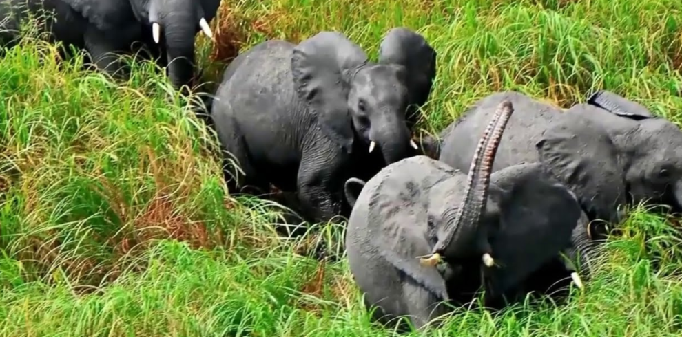 2 Days in south Sudan -Shambe Nationa Park